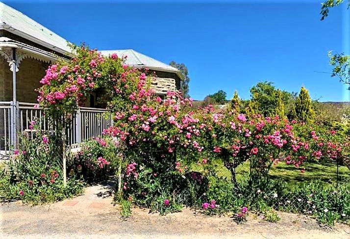 Villa Jack Of The Karoo Sutherland Exterior foto